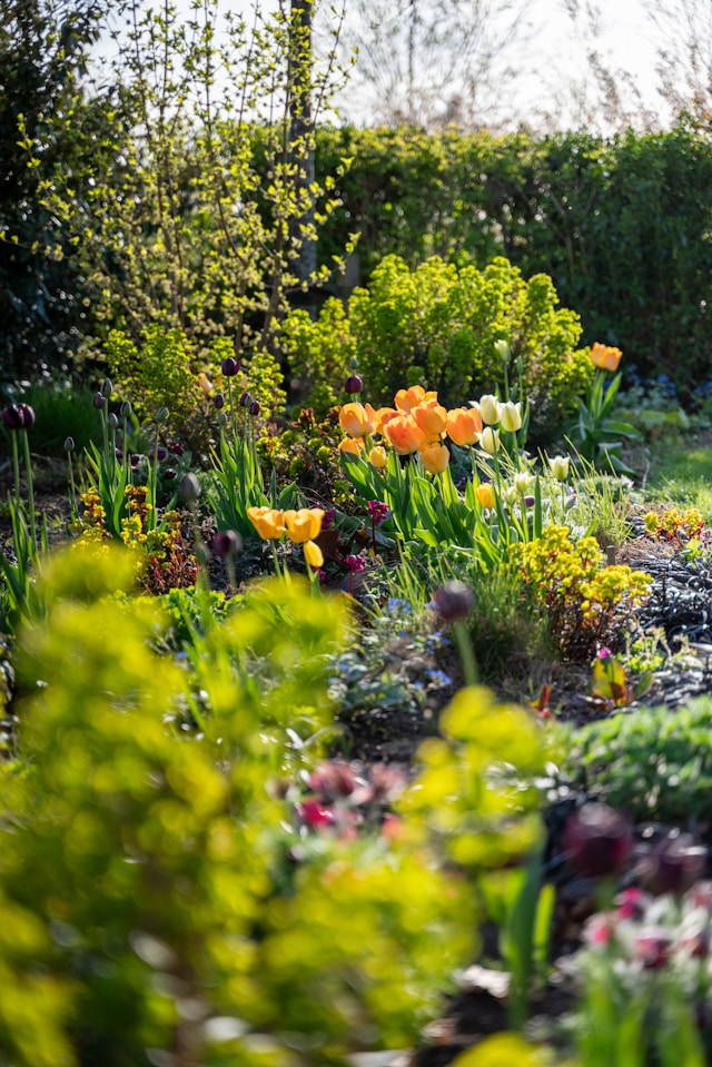 Beautiful garden installation by Bold Growth Gardens